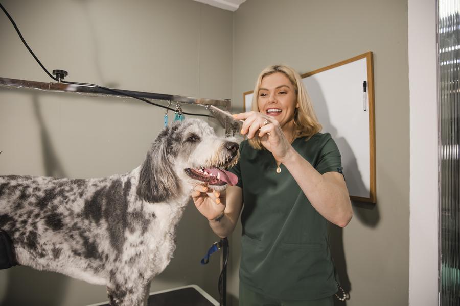 Amy combing a happy doodle's face
