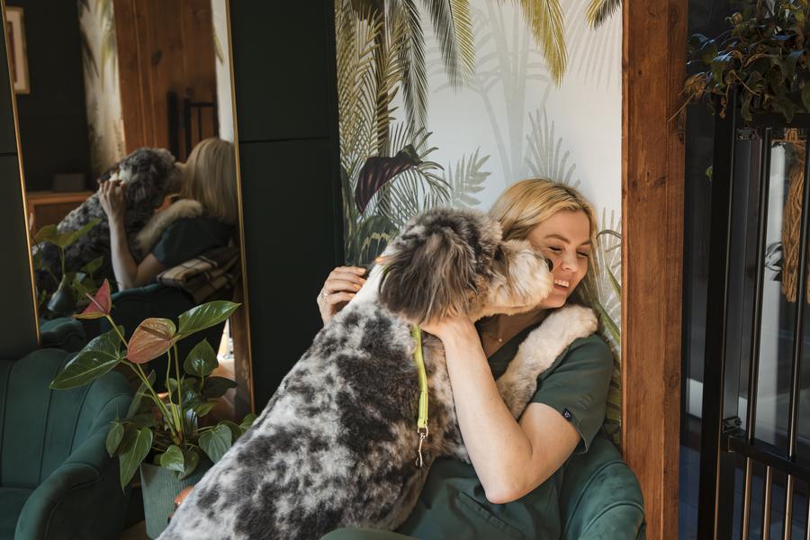 A freshly groomed doodle giving Amy a cuddle in the salon lounge
